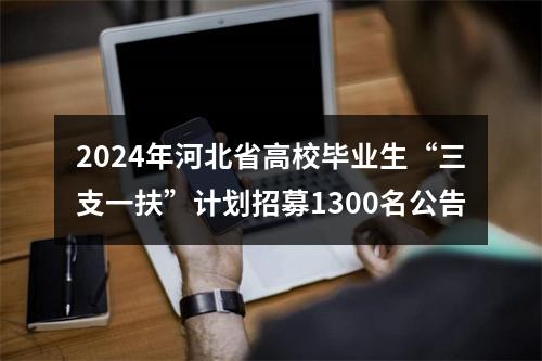 2024年河北省高校毕业生“三支一扶”计划招募1300名公告 图片
