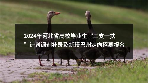 2024年河北省高校毕业生“三支一扶”计划调剂补录及新疆巴州定向招募报名入口 图片