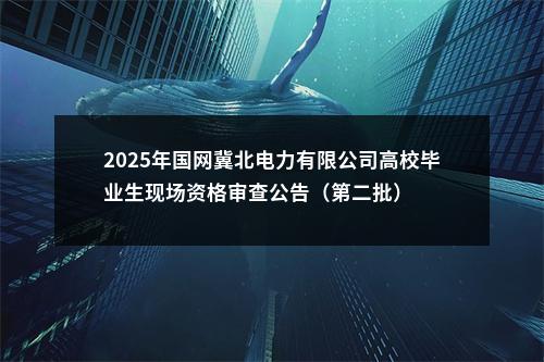 2025年国网冀北电力有限公司高校毕业生现场资格审查公告（第二批） 图片