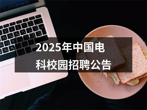 2025年中国电科校园招聘公告 图片