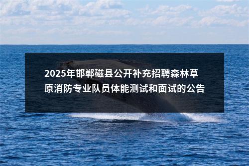2025年邯郸磁县公开补充招聘森林草原消防专业队员体能测试和面试的公告 图片
