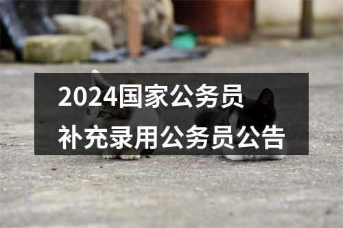 2024国家公务员补充录用公务员公告 图片