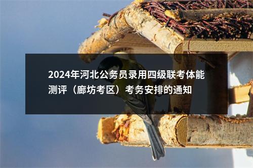 2024年河北公务员录用四级联考体能测评（廊坊考区）考务安排的通知 图片