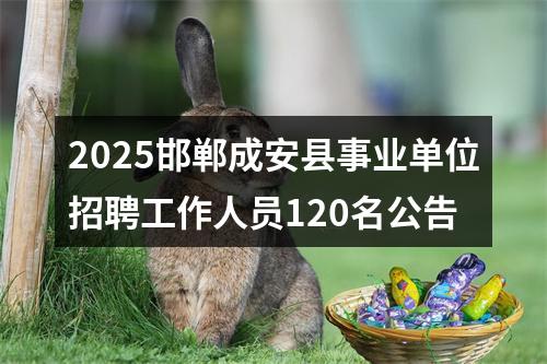 2025邯郸成安县事业单位招聘工作人员120名公告 图片