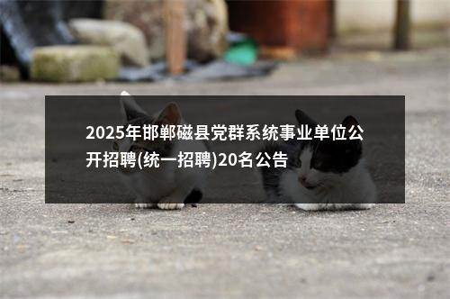 2025年邯郸磁县党群系统事业单位公开招聘(统一招聘)20名公告 图片