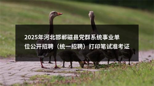 2025年河北邯郸磁县党群系统事业单位公开招聘（统一招聘）打印笔试准考证公告 图片