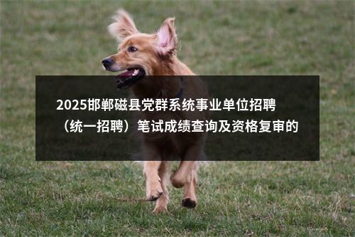 2025邯郸磁县党群系统事业单位招聘（统一招聘）笔试成绩查询及资格复审的公告 图片