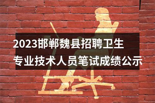 2023邯郸魏县招聘卫生专业技术人员笔试成绩公示 图片