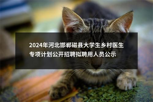 2024年河北邯郸磁县大学生乡村医生专项计划公开招聘拟聘用人员公示 图片