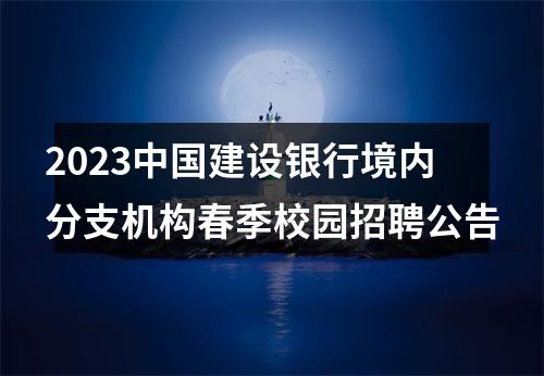 2023中国建设银行境内分支机构春季校园招聘公告 图片
