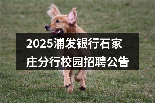 2025浦发银行石家庄分行校园招聘公告 图片