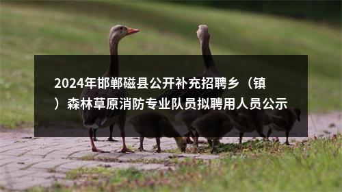 2024年邯郸磁县公开补充招聘乡（镇）森林草原消防专业队员拟聘用人员公示 图片