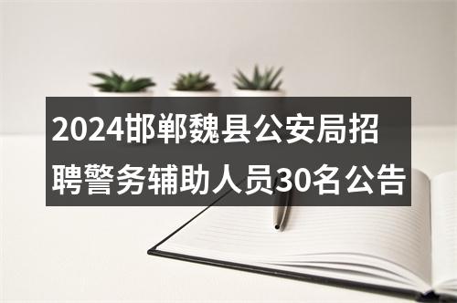 2024邯郸魏县公安局招聘警务辅助人员30名公告 图片
